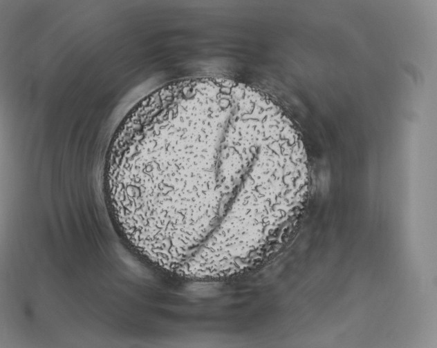 X0000113260051200910081348