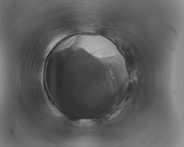 X0000113260052200910081348