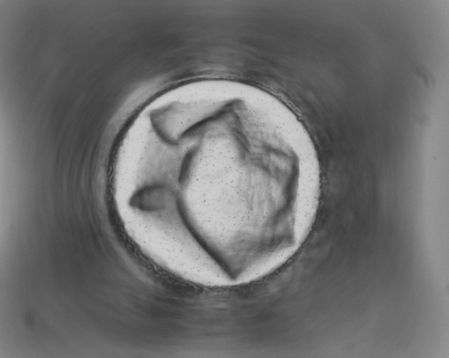 X0000113260055200910081348