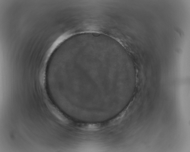 X0000113260056200910081348