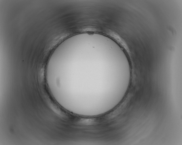 X0000113260057200910081348