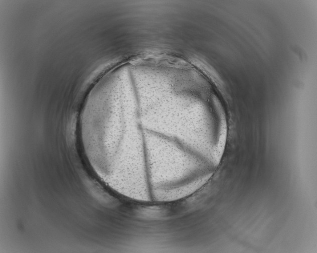 X0000113260058200910081348