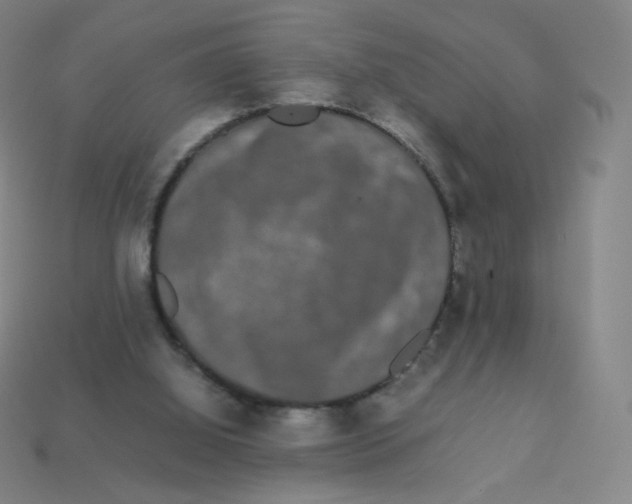 X0000113260060200910081348
