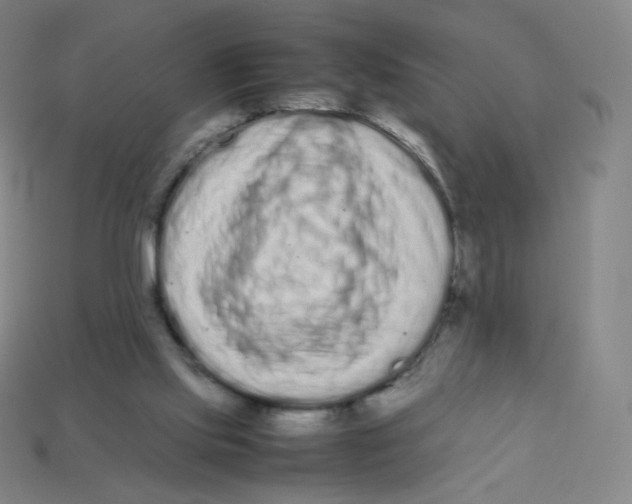 X0000113260061200910081348