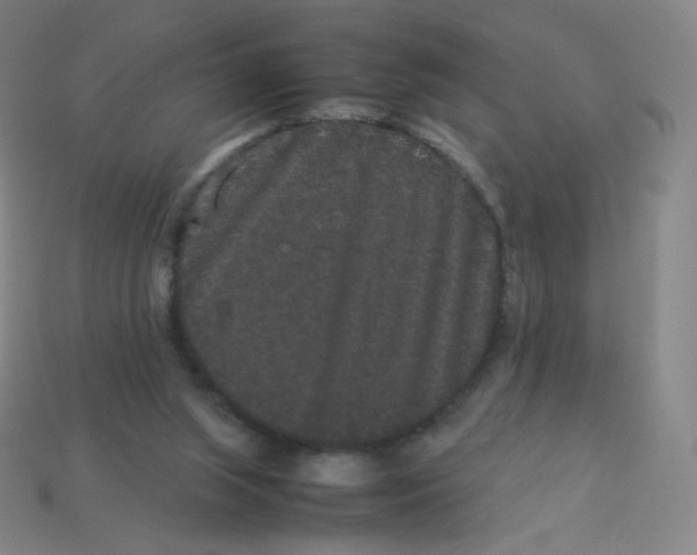 X0000113260063200910081348