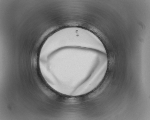 X0000113260064200910081348