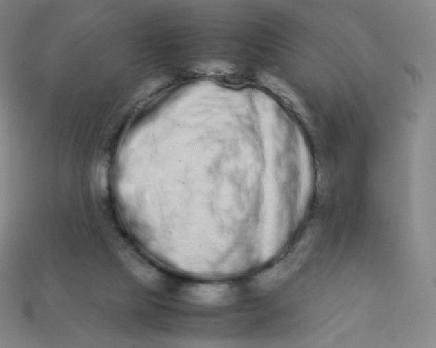 X0000113260065200910081348