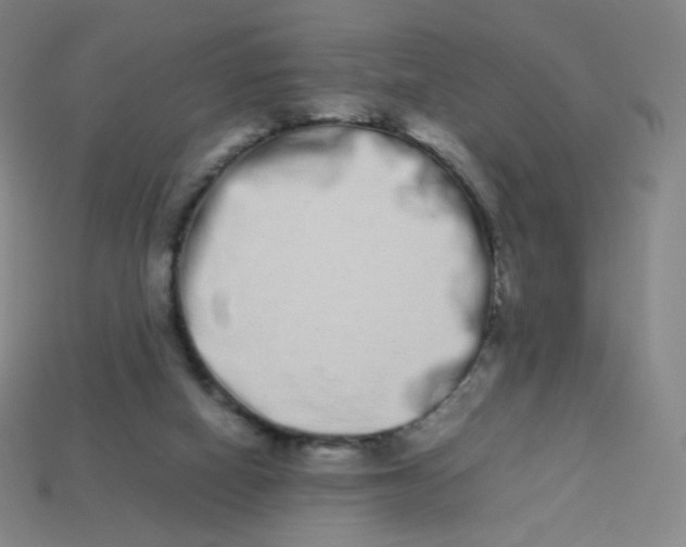 X0000113260066200910081348