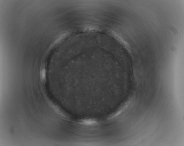 X0000113260067200910081348