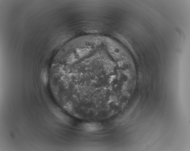 X0000113260069200910081348