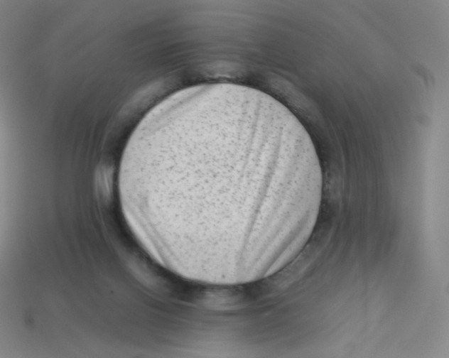 X0000113260070200910081348