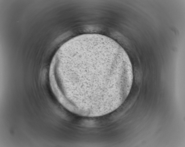 X0000113260071200910081348