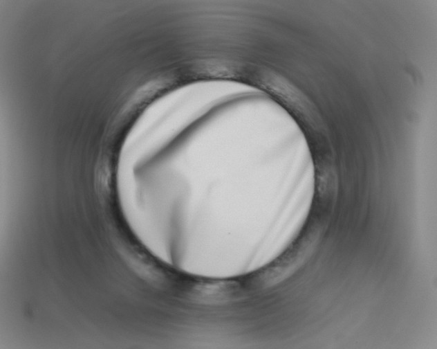 X0000113260072200910081348