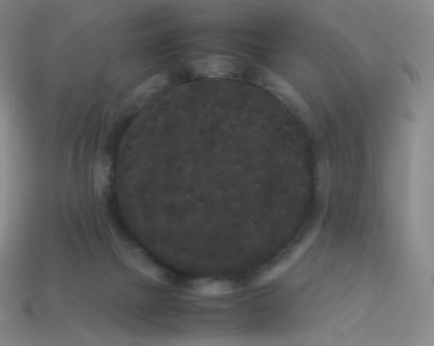 X0000113260073200910081348