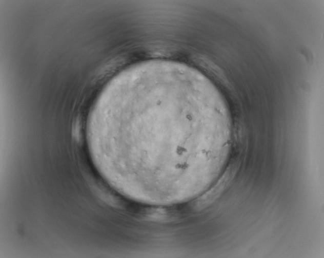 X0000113260074200910081348