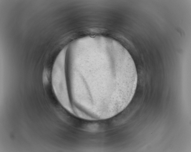 X0000113260075200910081348