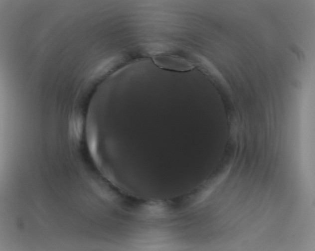 X0000113260076200910081348