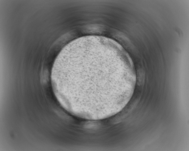 X0000113260077200910081348