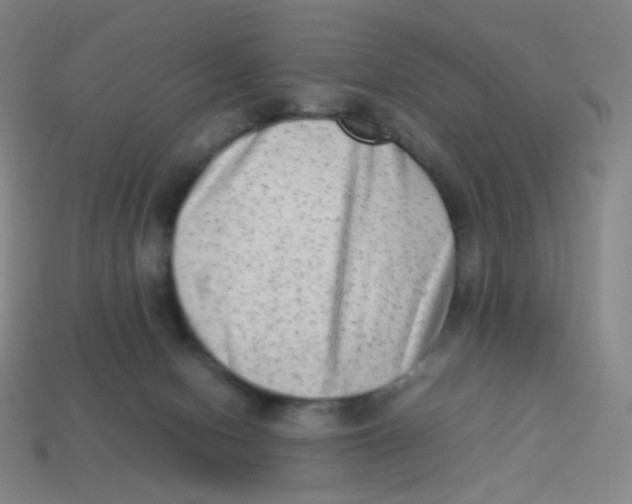 X0000113260078200910081348