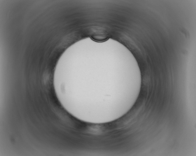 X0000113260079200910081348