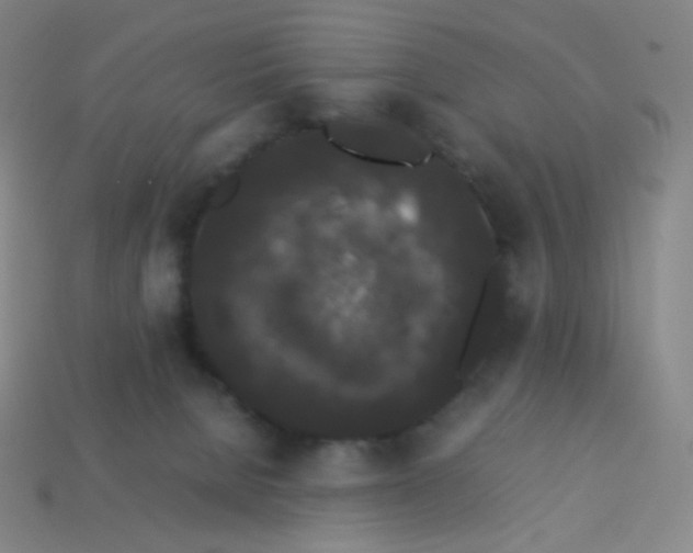 X0000113260080200910081348