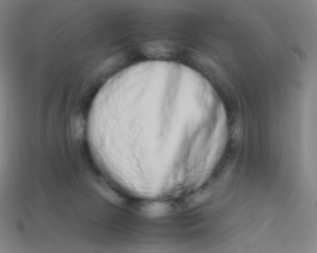 X0000113260081200910081348