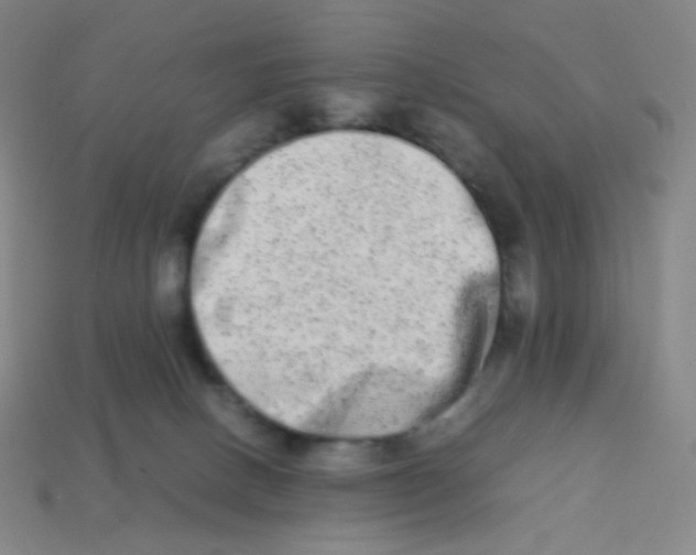 X0000113260082200910081348