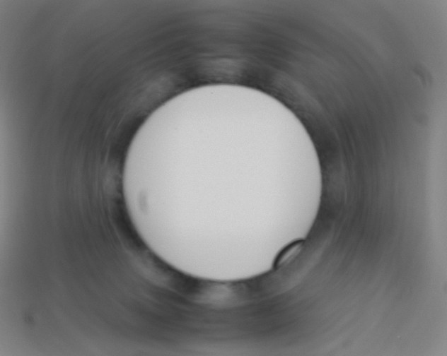 X0000113260083200910081348