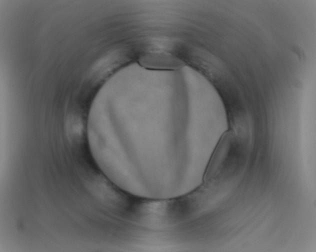 X0000113260084200910081348