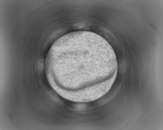 X0000113260085200910081348