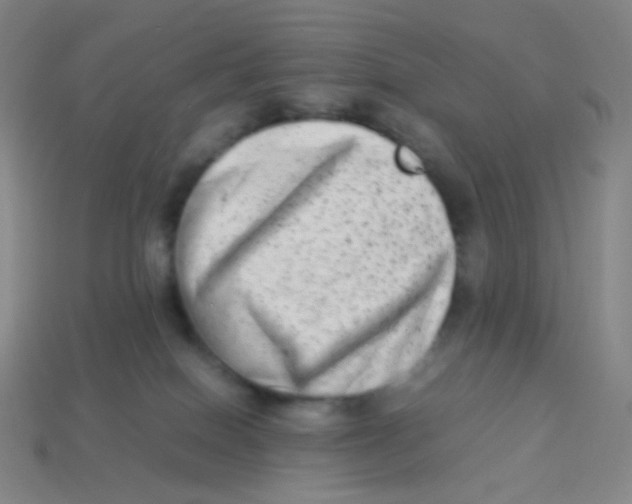 X0000113260086200910081348