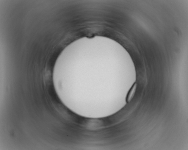 X0000113260087200910081348