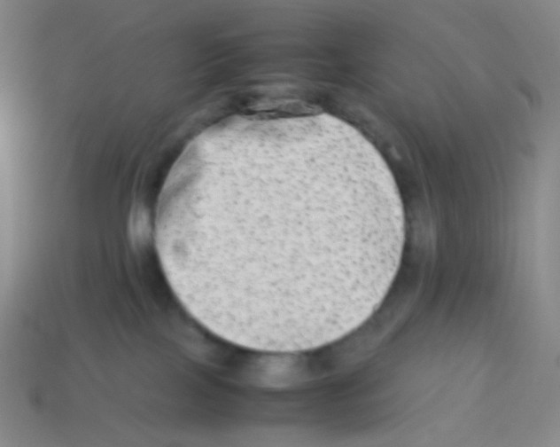 X0000113260089200910081348