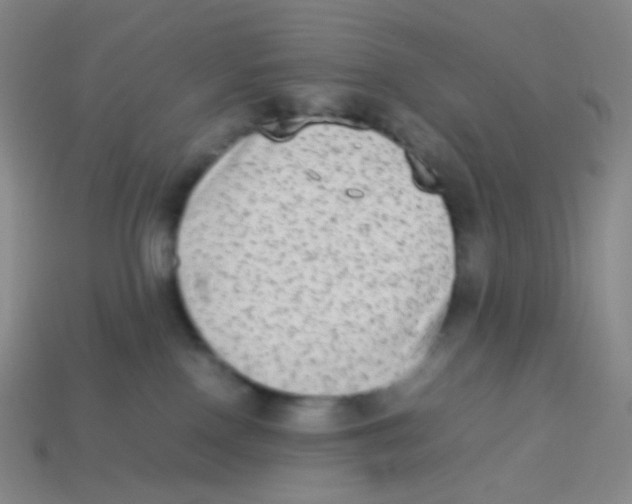 X0000113260090200910081348