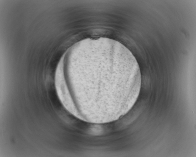 X0000113260091200910081348