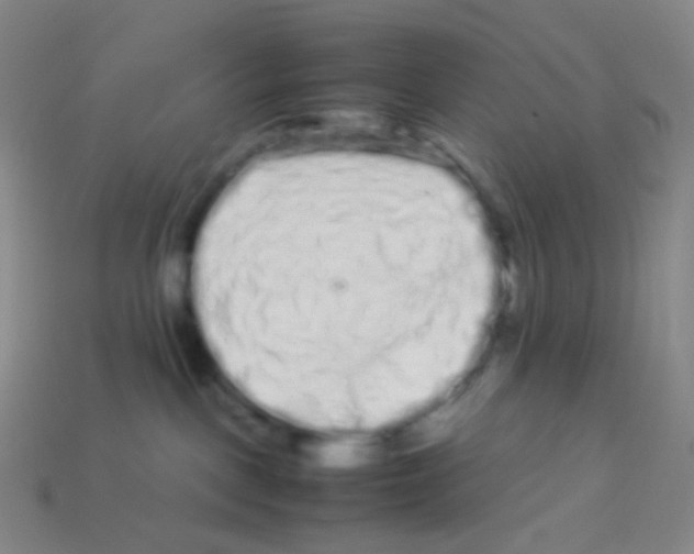 X0000113260093200910081348