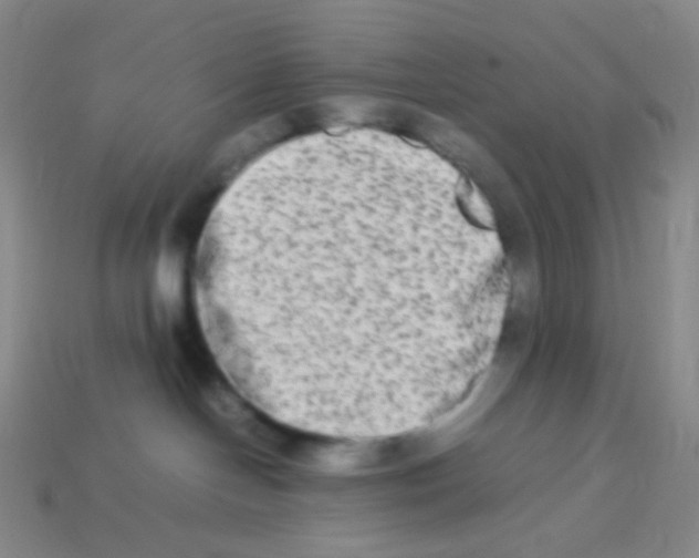 X0000113260094200910081348
