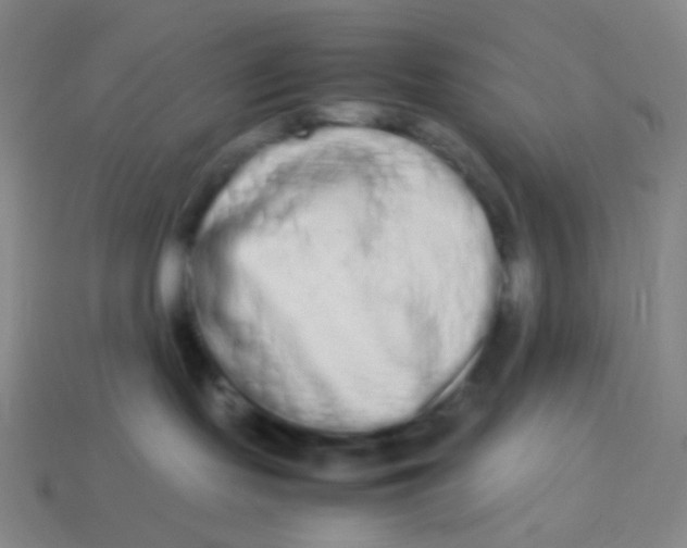 X0000113260095200910081348