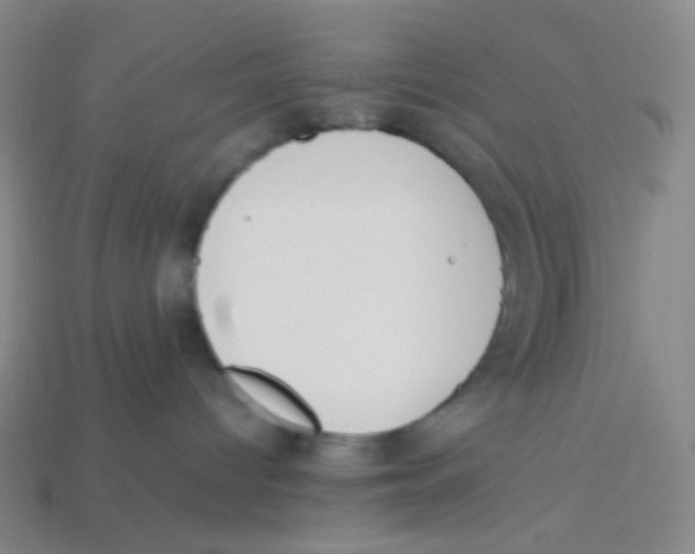 X0000113260096200910081348