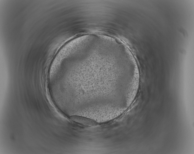 X0000113260097200910081348