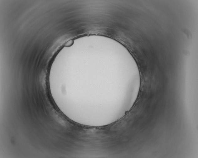 X0000113260098200910081348