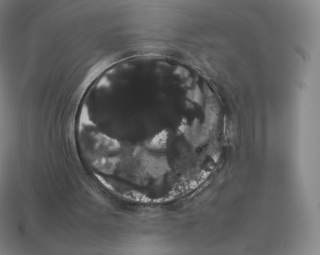 X0000113260099200910081348