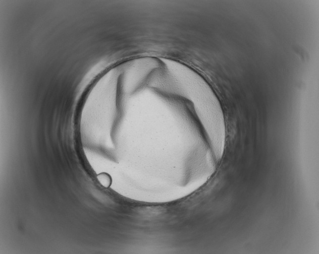 X0000113260102200910081348