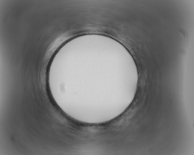 X0000113260103200910081348