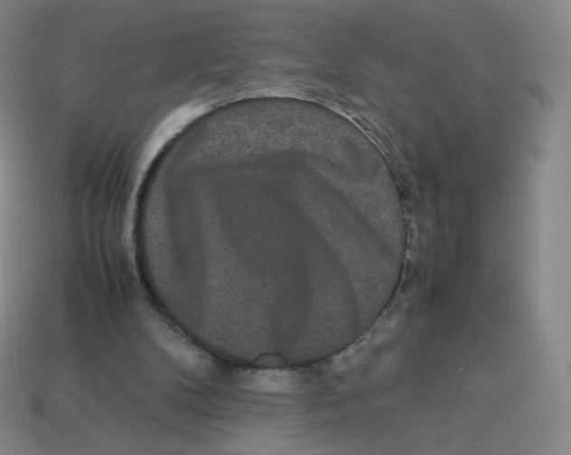 X0000113260104200910081348