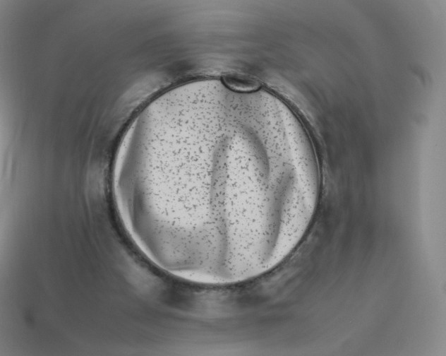 X0000113260105200910081347