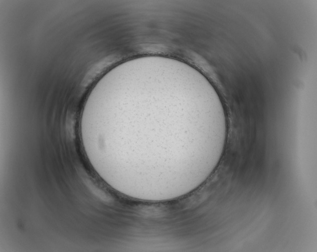 X0000113260106200910081347