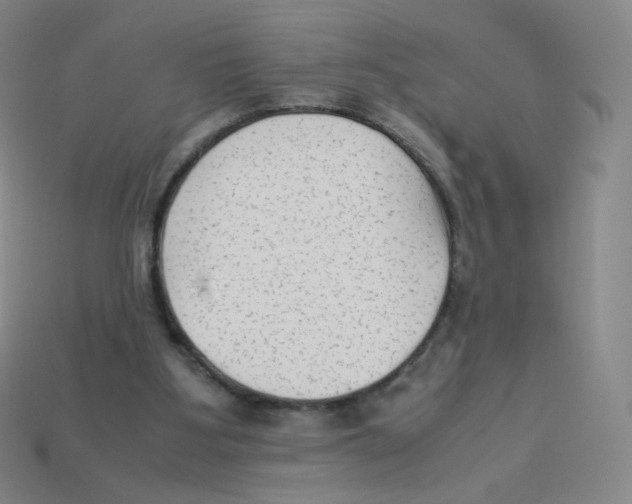 X0000113260107200910081347