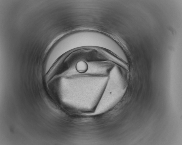 X0000113260108200910081347