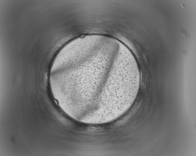 X0000113260109200910081347
